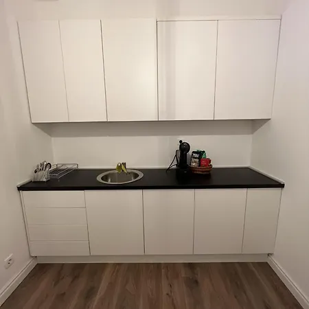 Apartment Dvor